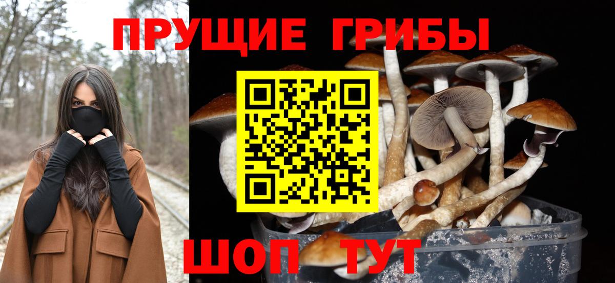 магазин    Вход с VPN  Рубцовск  Псилоцибиновые грибы мицелий  Галлюциногенные грибы мухоморы 